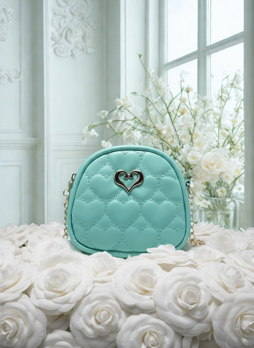 Embroidered Fashion Princess Crossbody Bag – PV Leather Mini Bag for Girls