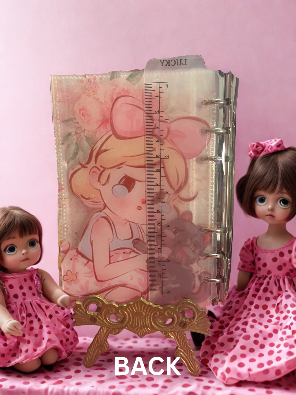 Cry Baby Acrylic Notebook/Journal/Binder/Photo Sticker Organizer - Selective Find